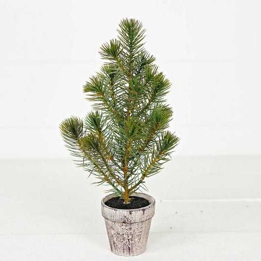 ISB72098-12inH Sierra Pine Mini Tree on Pot