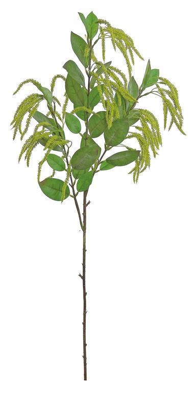 Mini Amaranthus, 35", Green